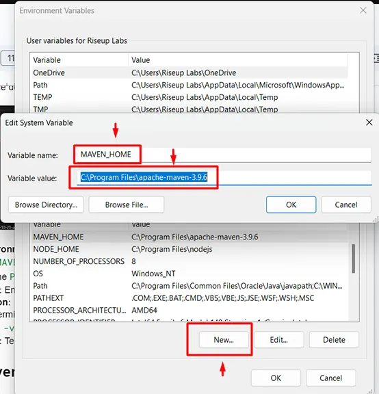 Configure Environment Variables