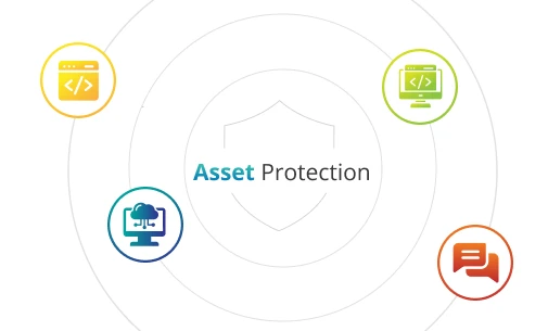 Asset Protection